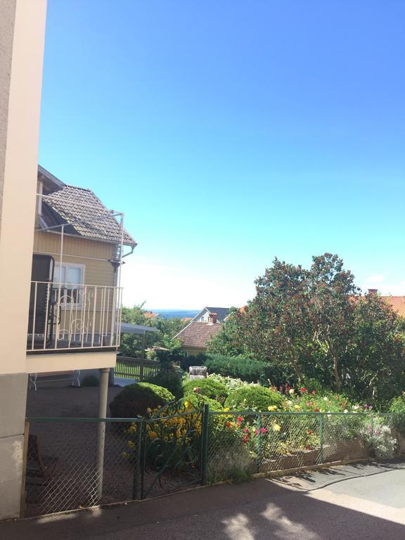 Brahe 65 *